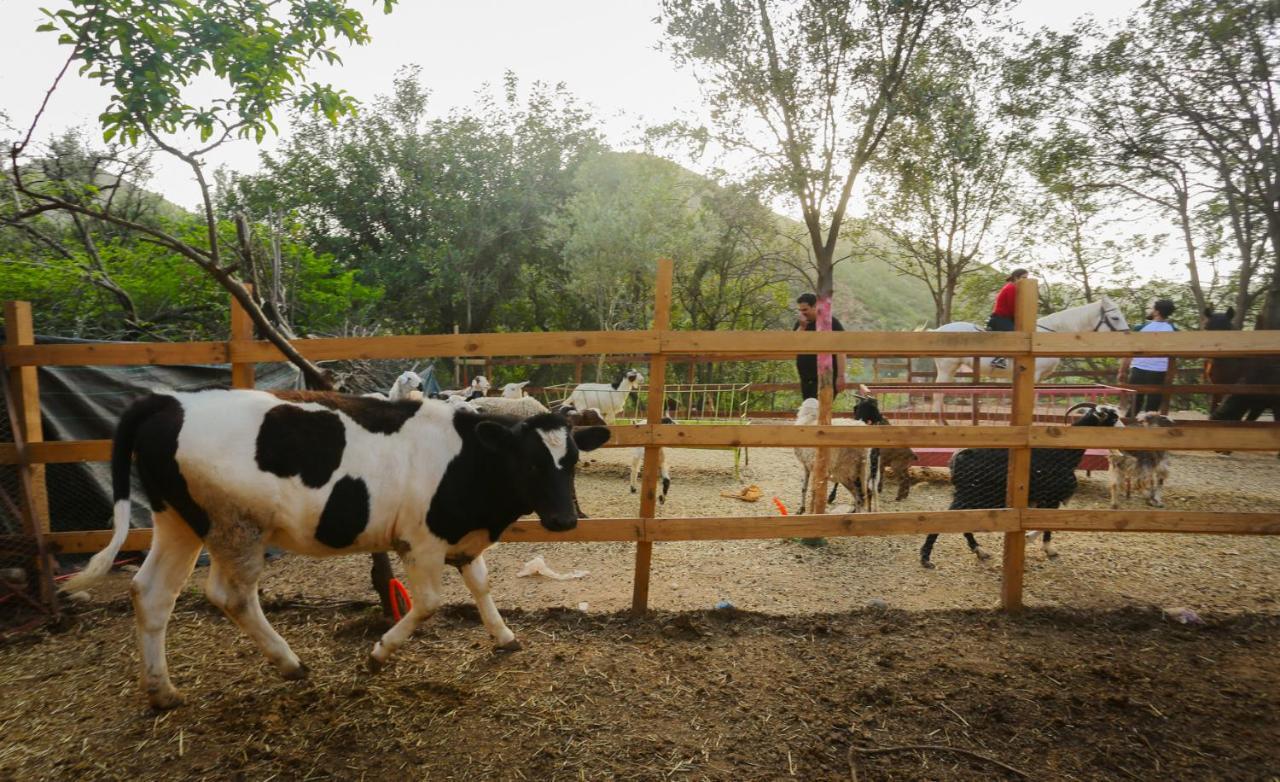 מלון אוריקה Ferme By Ikalimo מראה חיצוני תמונה