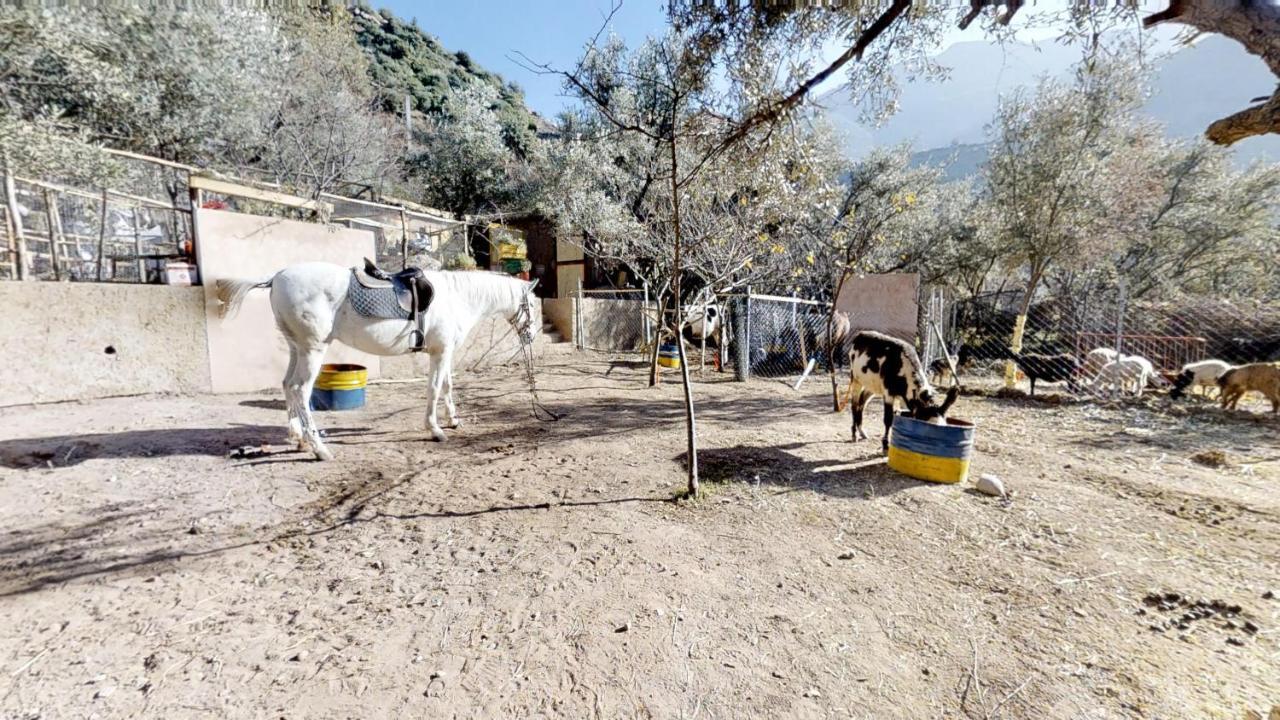 מלון אוריקה Ferme By Ikalimo מראה חיצוני תמונה
