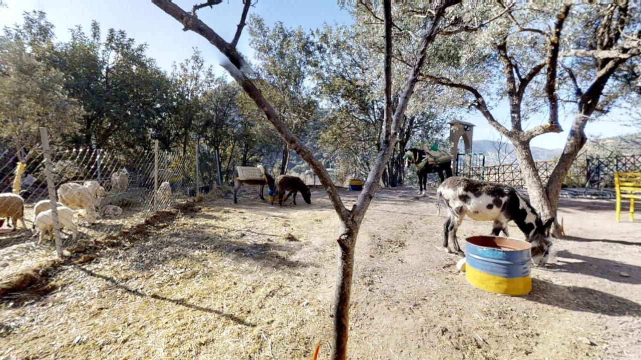 מלון אוריקה Ferme By Ikalimo מראה חיצוני תמונה