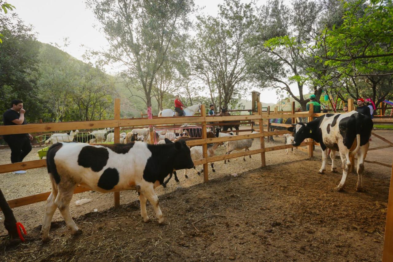 מלון אוריקה Ferme By Ikalimo מראה חיצוני תמונה