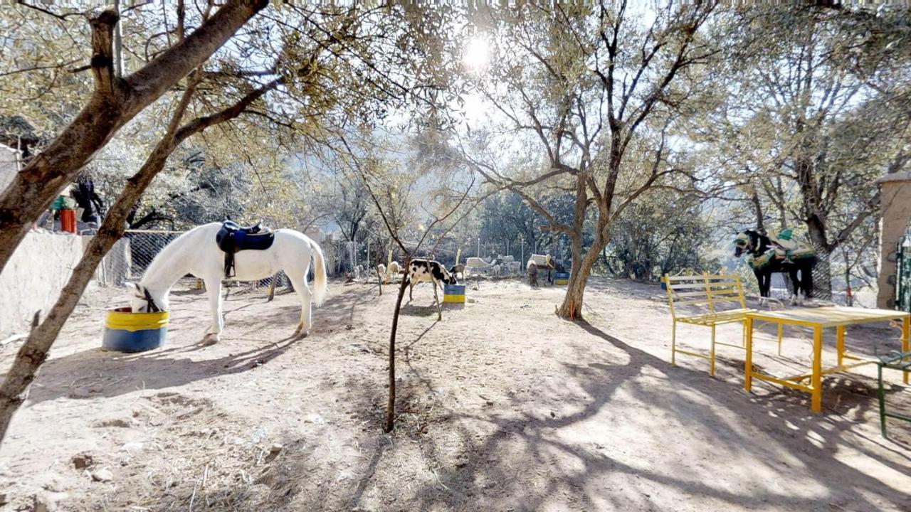 מלון אוריקה Ferme By Ikalimo מראה חיצוני תמונה
